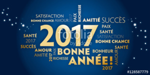 MEILLEURS VOEUX 2017 MEILLEURS VOEUX 2017