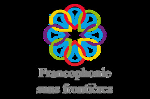 Conférence CIESDI du 5 novembre 2020 Conférence CIESDI du 5 novembre 2020